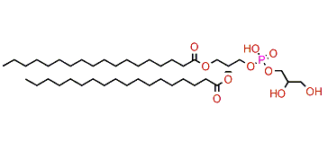 Phosphatidylglycerol