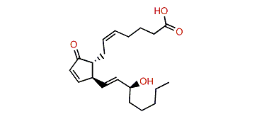 Prostaglandin A2