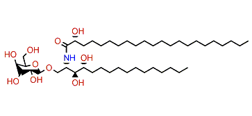 PNC-1-1