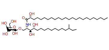 PNC-1-10