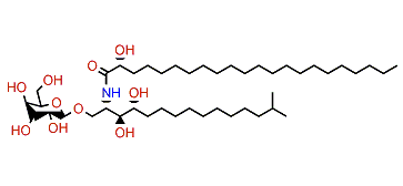 PNC-1-2