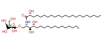 PNC-1-3a