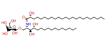 PNC-1-3b