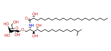 PNC-1-4a