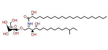 PNC-1-4b