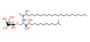 PNC-1-4c