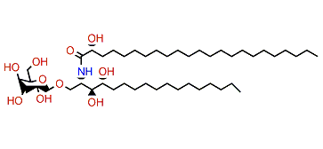 PNC-1-5b