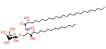 PNC-1-5c