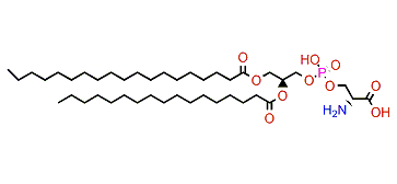 Phosphatidylserine