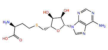 (S)-Adenosyl-L-homocysteine