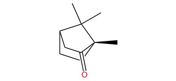 (1S)-1,7,7-Trimethylbicyclo[2.2.1]heptan-2-one