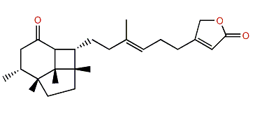 (S)-Lintenone