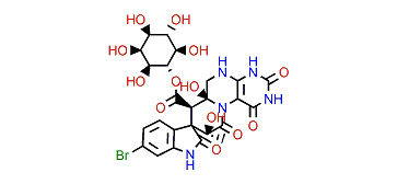 Surugatoxin