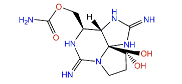 Saxitoxin