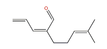 (Z)-Filamental