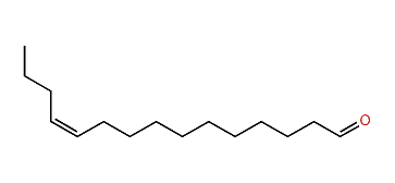 (Z)-11-Pentadecenal