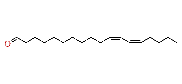 (Z,Z)-11,13-Octadecadienal