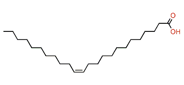 (Z)-13-Tetracosenoic acid