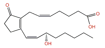 (13Z)-Prostaglandin B2