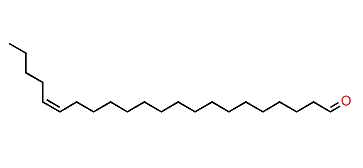 (Z)-17-Docosenal