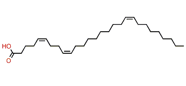 (Z,Z,Z)-5,9,19-Octacosatrienoic acid