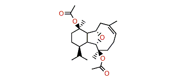 (6Z)-11-Acetoxycladiellin