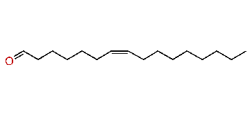 (Z)-7-Hexadecenal