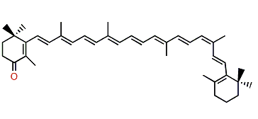 (9'Z)-beta,beta-Caroten-4-one