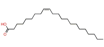 (Z)-9-Docosenoic acid