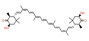 (9Z,9'Z)-3,3'-Dihydroxy-5,6,5',6'-tetrahydro-beta,beta-carotene-4,4'-dione