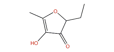 5-Ethyl-3-hydroxy-4-methyl-2(5H)-furanone