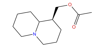 Acetyl-epilupinine