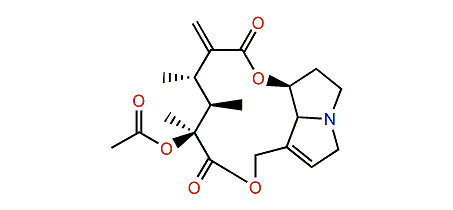 Acetylsenecivernine