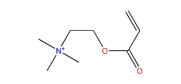 Acrylylcholine