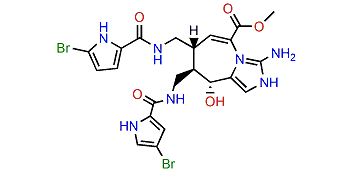 Agelanemoechine