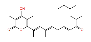 Aglajne-3