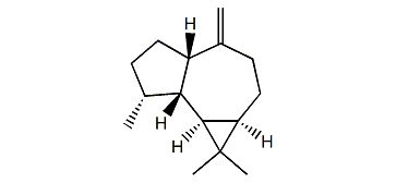 Alloaromadendrone