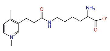 Amphikuemin