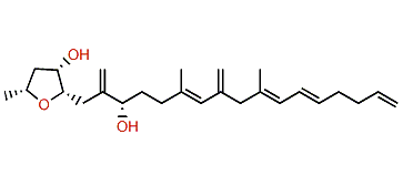 Amphirionin-4