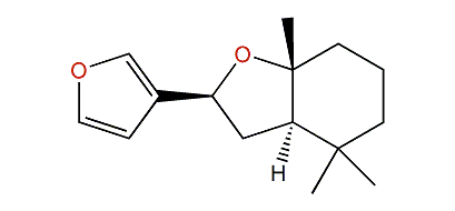 Ancistrofuran