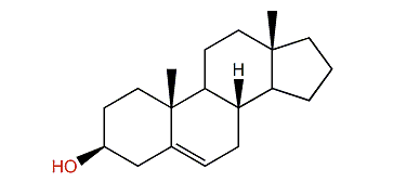 Androst-5-en-3b-ol