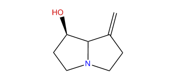 Anhydroplatynecine