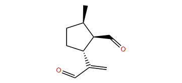 Anisomorphal