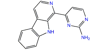 Annomontine