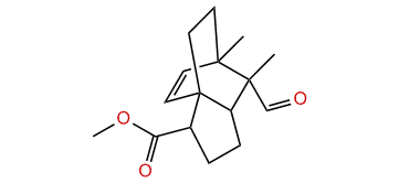 anti-Methyl 11-formyl-helifolen-15-oate