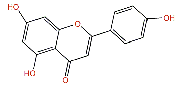 Apigenin