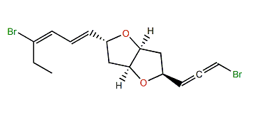 Aplysiallene