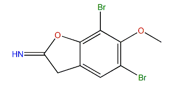 Aplysinimine