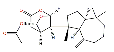 Aplyviolene