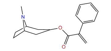 Apoatropine